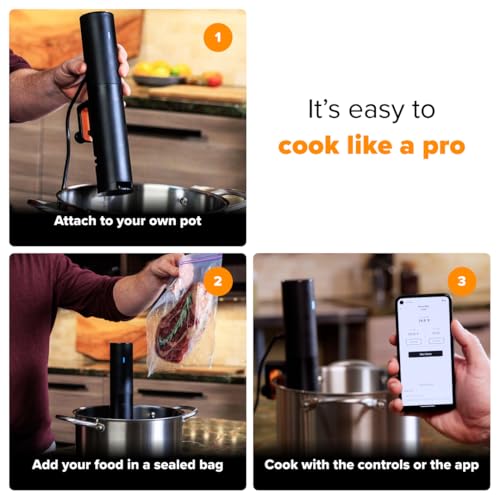 Sous Vide Precision Cooker Mini (Mini / Black)