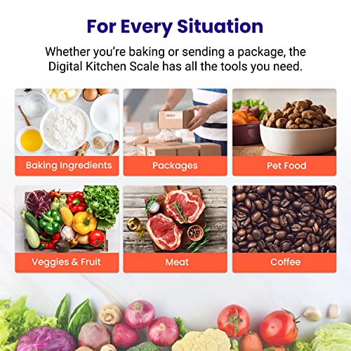 0.1g Food Scale