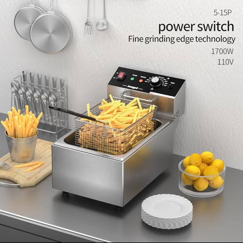 Commercial Deep Fryer Stainless Steel Dual Tank with 2 Baskets Capacity 10L X 2 Electric Countertop Fryer for Restaurant and Home Use