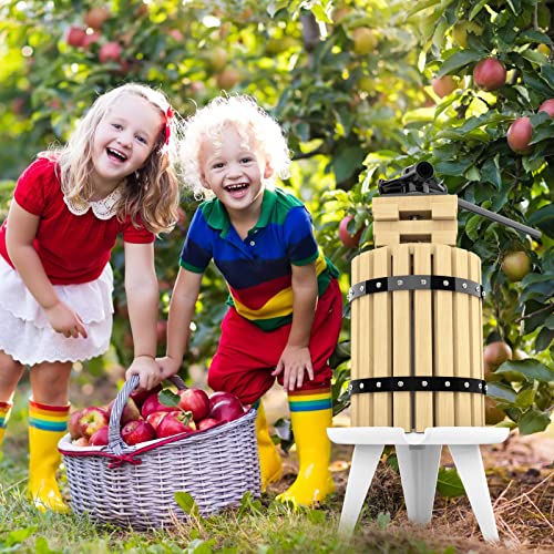 Fruit Apple Cider Wine Press