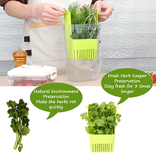 Fresh Herb Keeper for Refrigerator