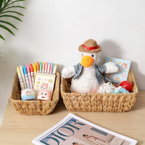 Water Hyacinth Storage Baskets