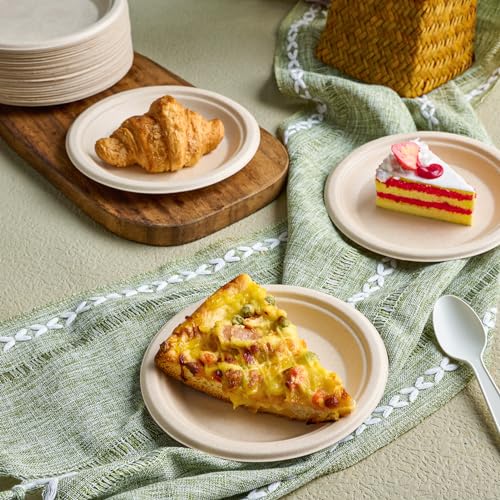 5 Pack Compostable Disposable Paper Plates nature