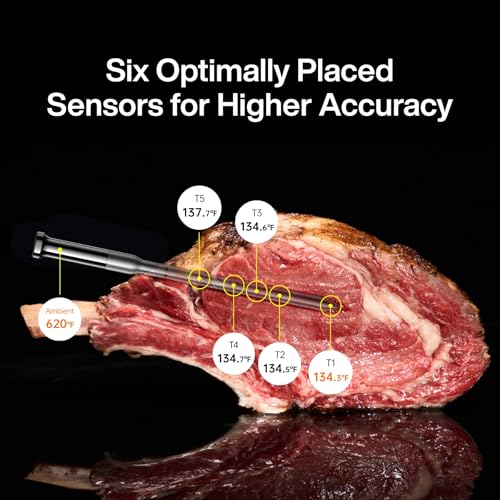 Sync Wireless WiFi Meat Thermometer