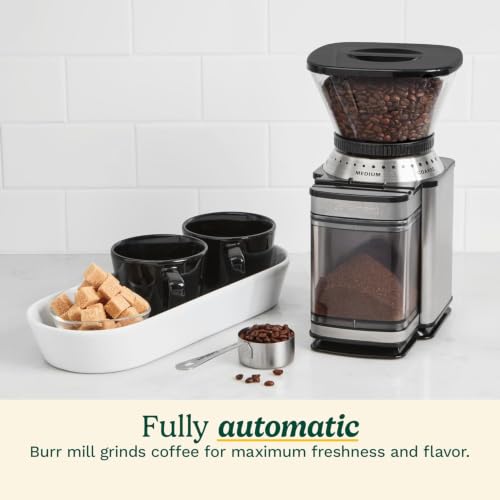 Coffee Grinder (Burr Mill / Cream)