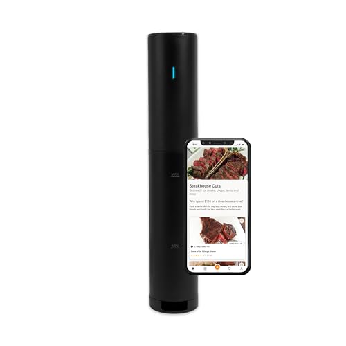 Sous Vide Precision Cooker Mini (Mini / Black)