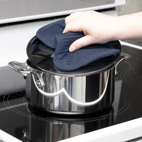 Premium Pot Holder & Hot Pad (Indigo / 4 Pack)