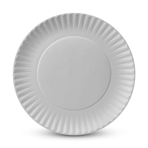 500 Pack Uncoated Paper Plates 9 Inch