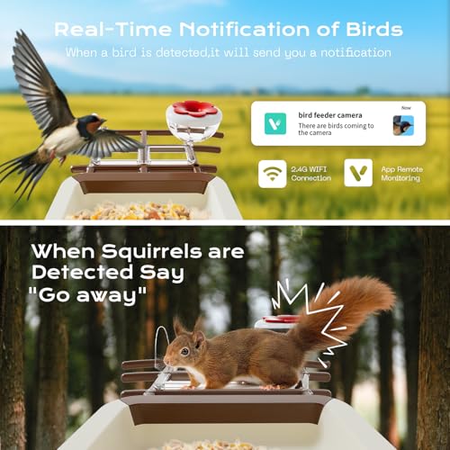 Smart Bird Feeder with Camera