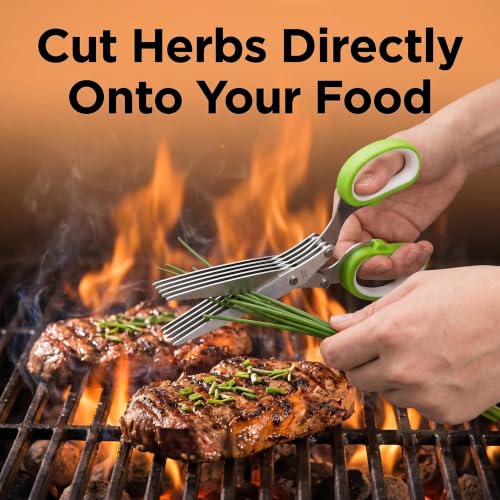 Garlic Press and Herb Scissors Set