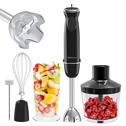 Immersion Blender Handheld