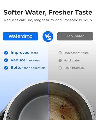 Electric Water Filter Dispenser