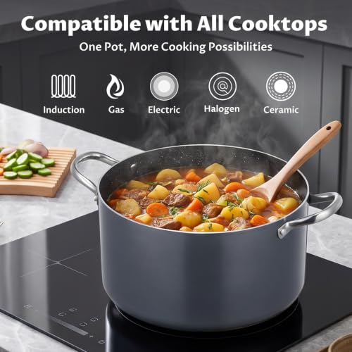 Stock Pot with Lid