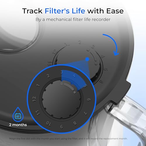 Glass Water Filter Pitcher