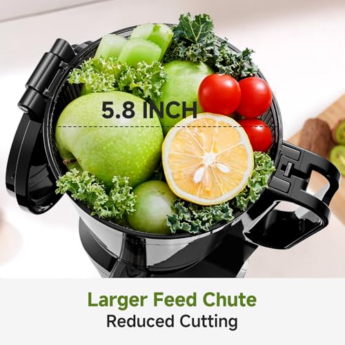 Cold Press Juicer