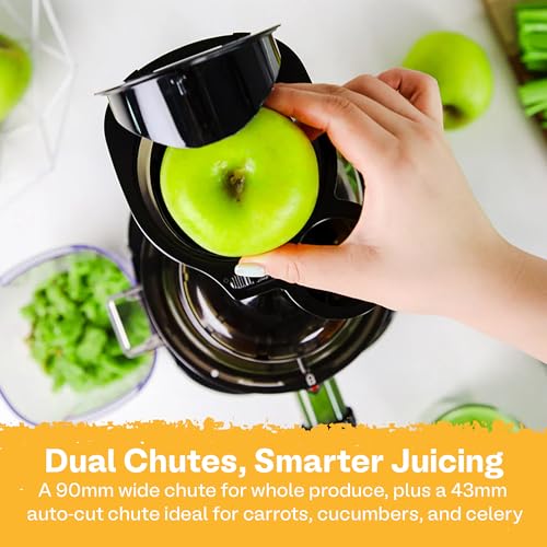 Whole Slow Juicer REVO830