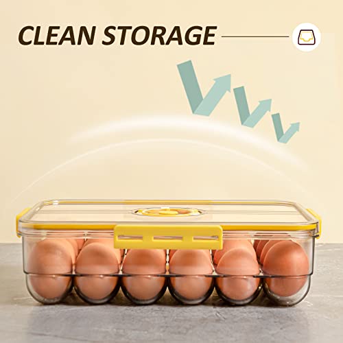 Egg Holder for Fridge