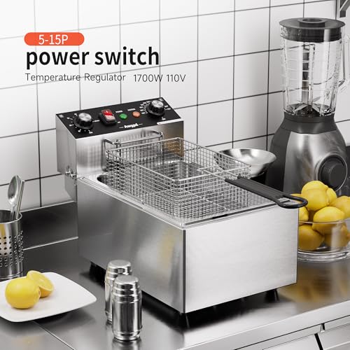 Electric Deep fryer