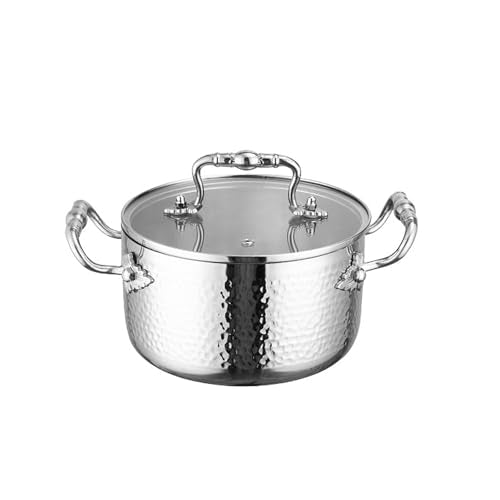 Stainless Steel Stock Pot with Visible Lid for Pasta