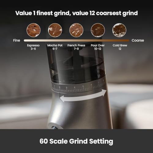 Electric Conical Burr Coffee Grinder (Gray)