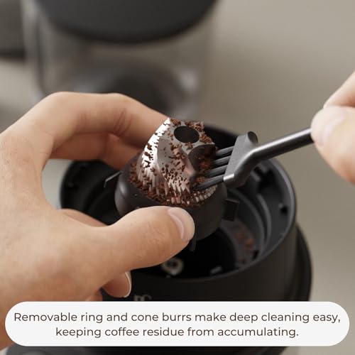 Conical Burr Coffee Grinder (Black)