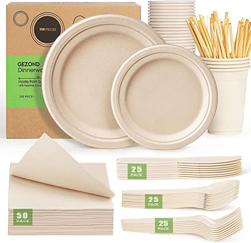 Compostable Paper Plates Set 250pcs Disposable Sugarcane Plates Utensils Eco