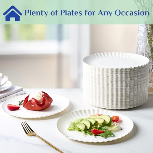 White Paper Plates