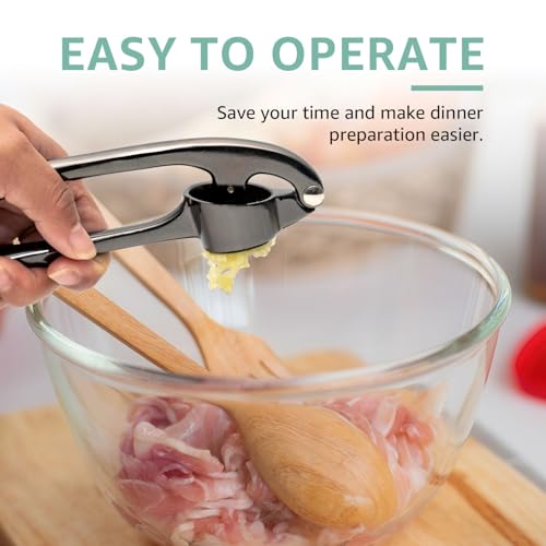 Garlic Press Garlic Mincer Tool