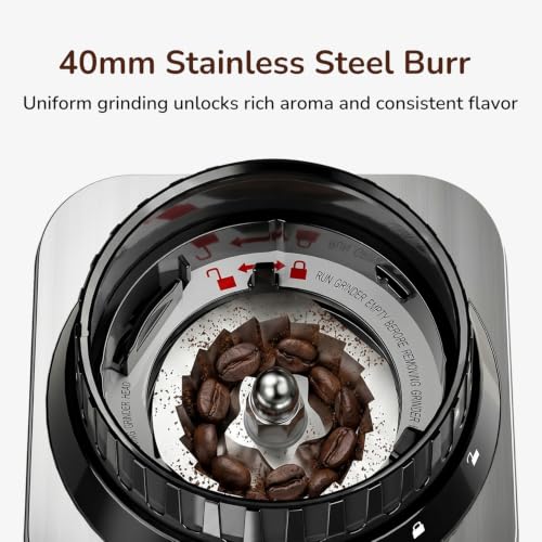 Electric Burr Coffee Grinder