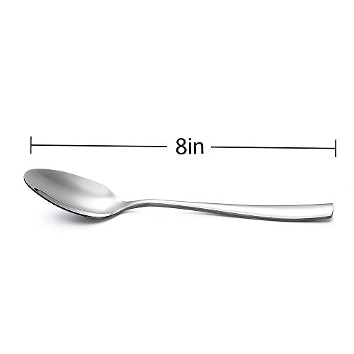 24 Piece Large Stainless Steel Dinner Spoons