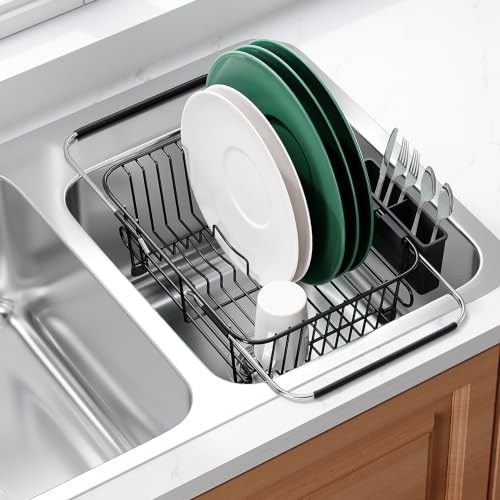 Dish Drying Rack in Sink