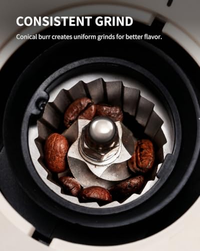 Conical Burr Coffee Grinder 2.0 (Beige)