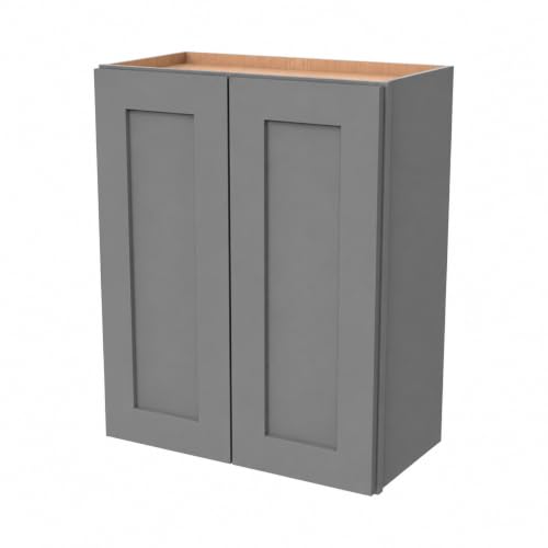 Wall Mounted Cabinet