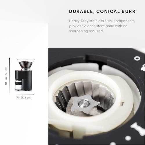 Bistro Electric Conical Burr Coffee Grinder (7.75 oz / Black)