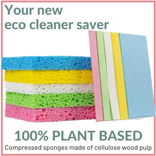 Biodegradable Kitchen Sponges