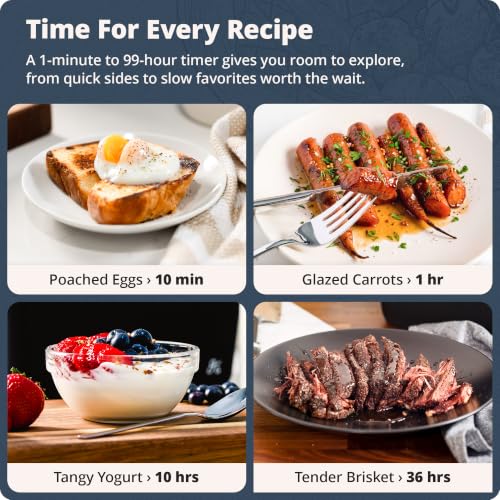 Sous Vide Cooker (Stone Blue)