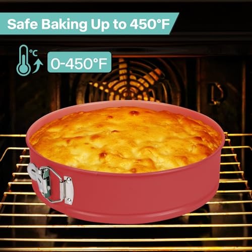10In Glass Bottom Springform Pan