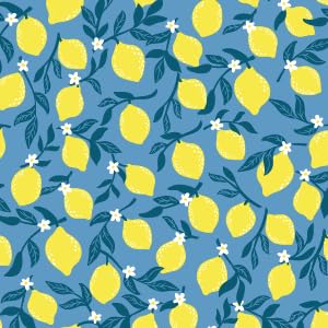 IceCreamSok Insulated Neoprene Cover
