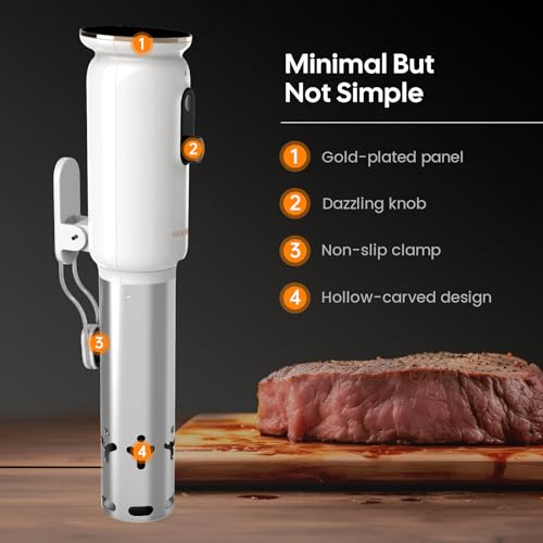 2.4G WiFi Sous Vide Cooker ISV (White)