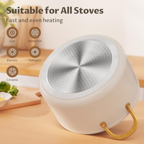 Stock Pot with Lid