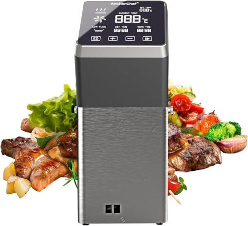 Immersion Circulator