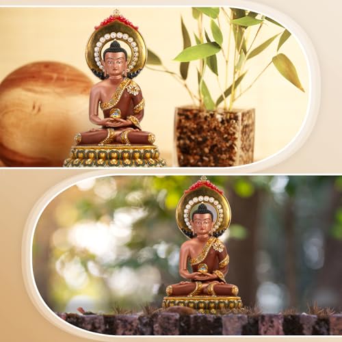 Buddha Statue Indoor