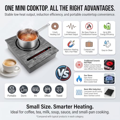 Portable Mini Induction Cooktop 700W