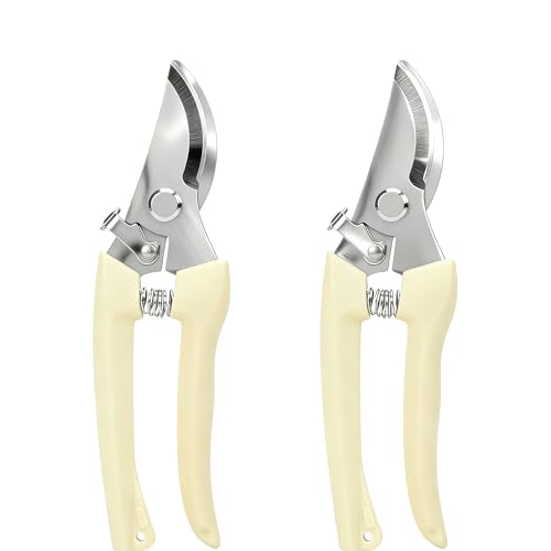 Pruning Scissors